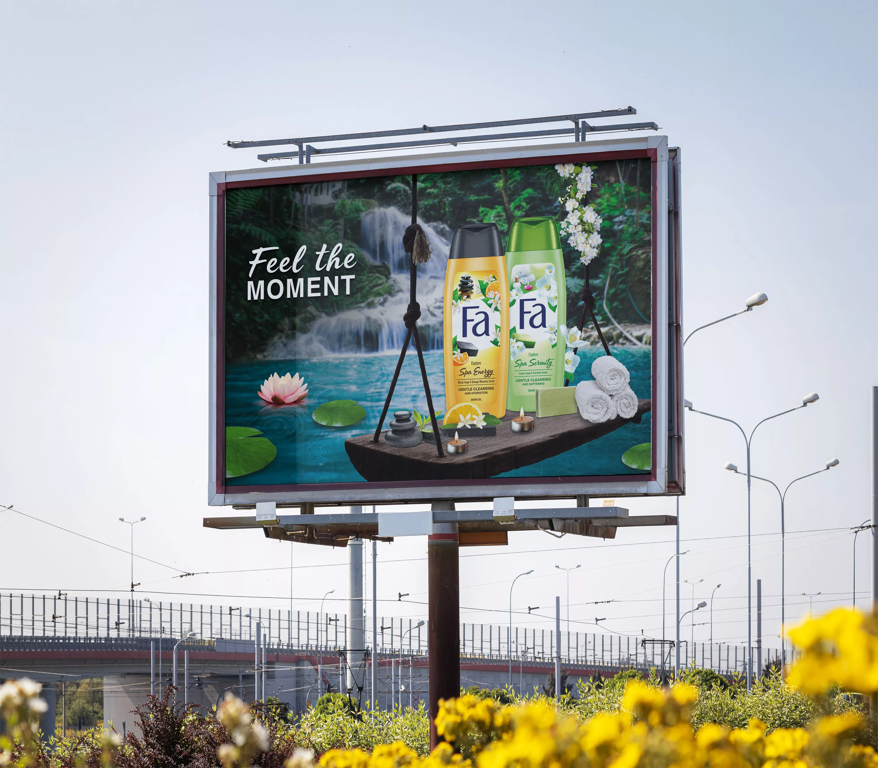 Fa