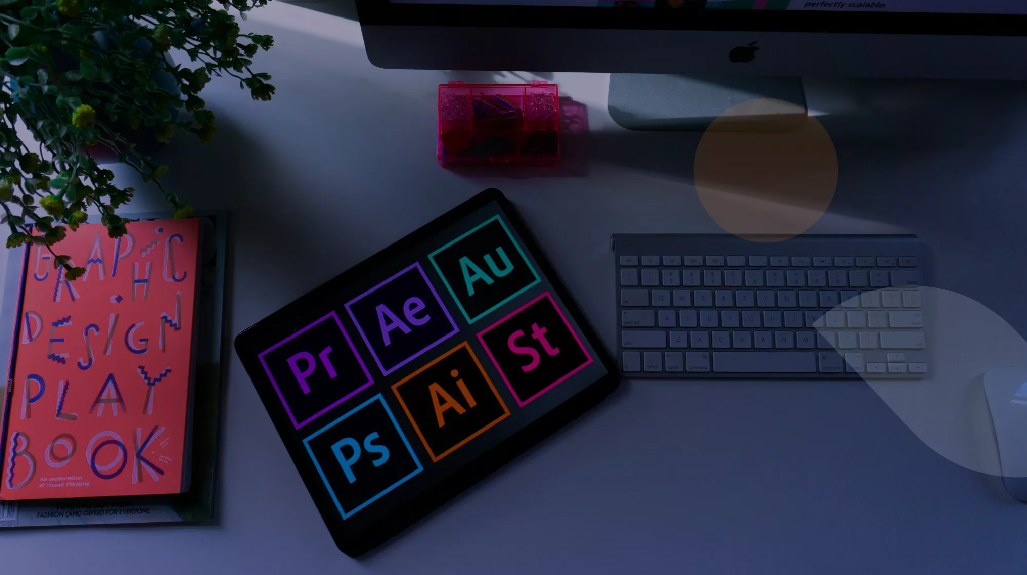 Branding et Design